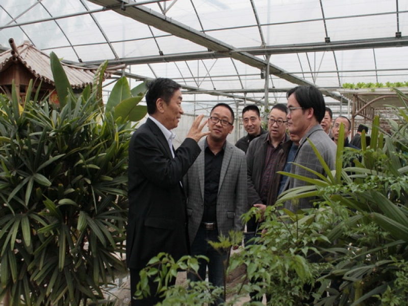 郭浩主席考察江蘇揚州高效蔬菜產業化示范園區
